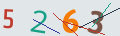verifycode
